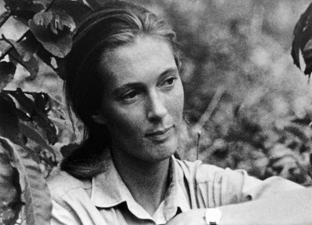 Gallery of Jane Goodall