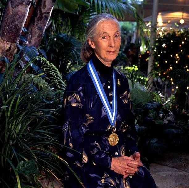 Gallery of Jane Goodall