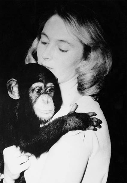 Gallery of Jane Goodall