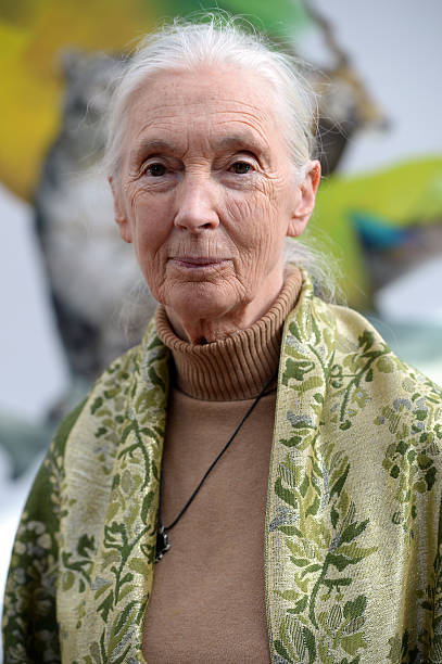 Gallery of Jane Goodall