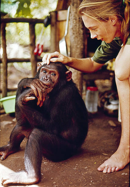 Gallery of Jane Goodall