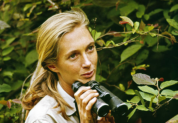 Gallery of Jane Goodall