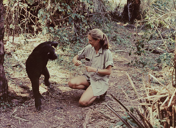 Gallery of Jane Goodall