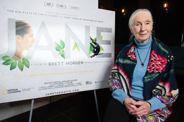 Gallery of Jane Goodall