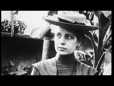 Gallery of Nettie Stevens