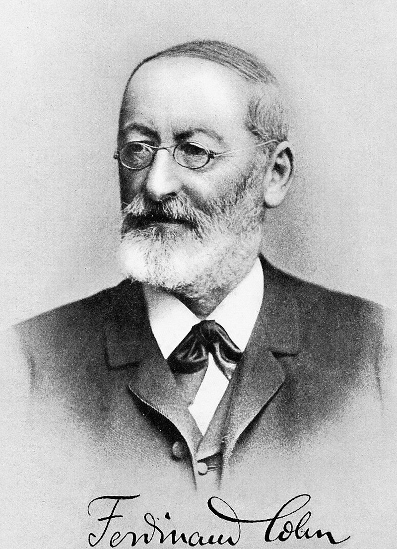 colleague: Ferdinand Julius Cohn