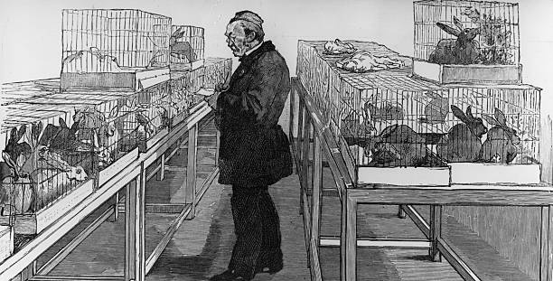 Gallery of Louis Pasteur