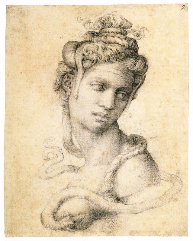 Partner: Tommaso dei Cavalieri