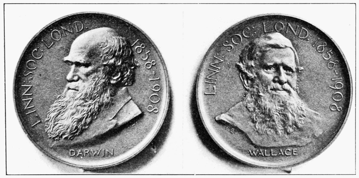 Darwin–Wallace Medal
