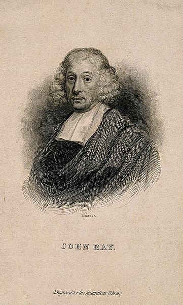 Gallery of John Ray