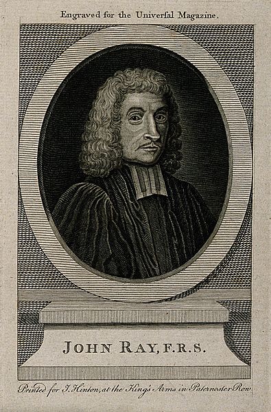 Gallery of John Ray