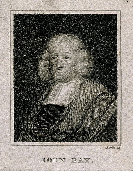 Gallery of John Ray