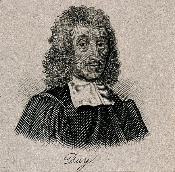 Gallery of John Ray
