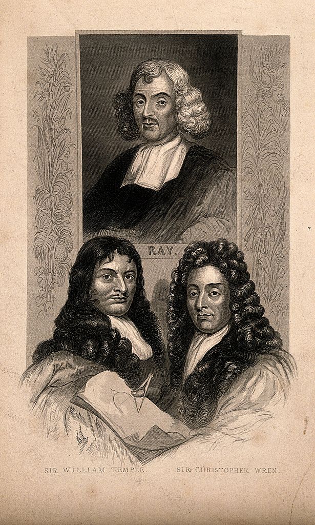 Gallery of John Ray