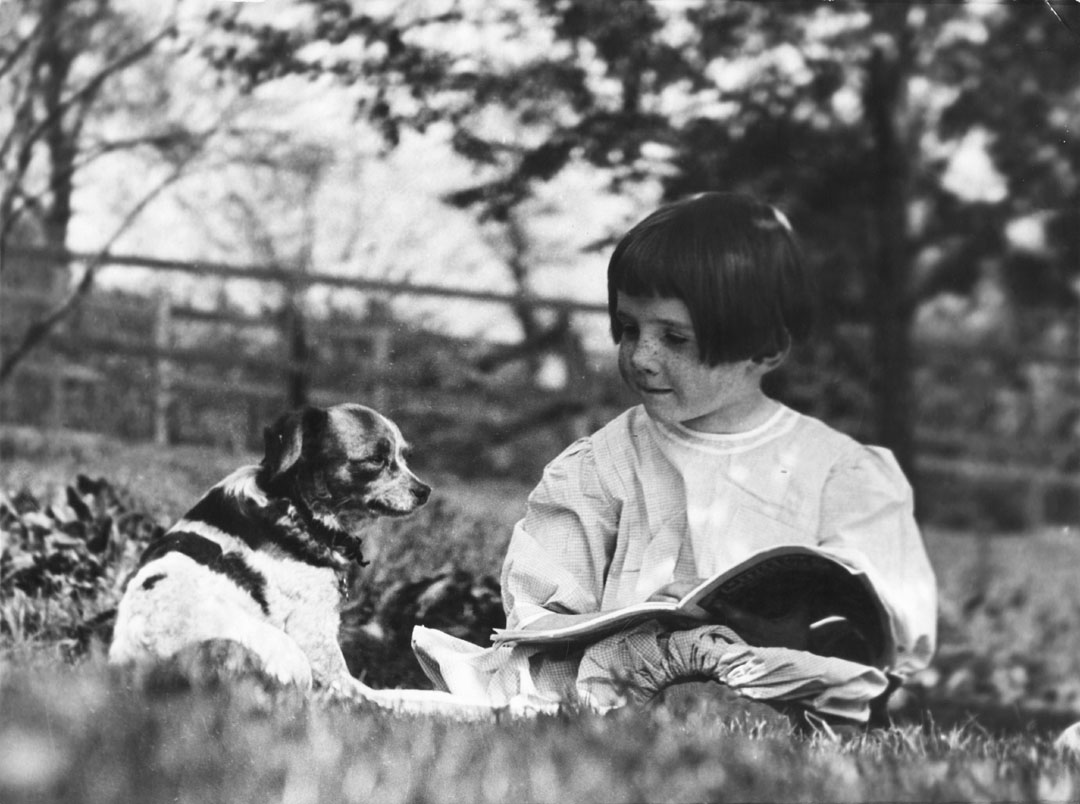 Gallery of Rachel Carson