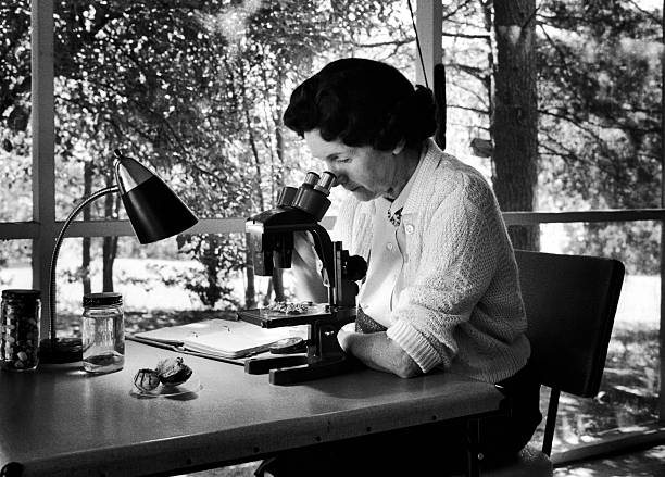 Gallery of Rachel Carson