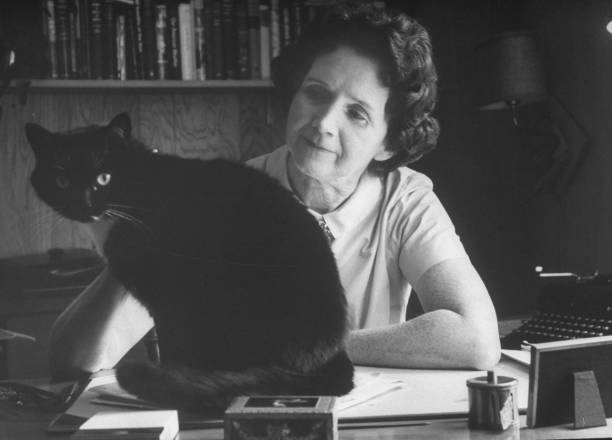 Gallery of Rachel Carson