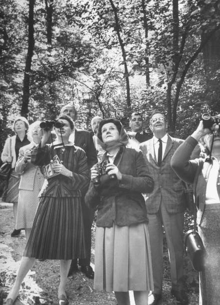 Gallery of Rachel Carson
