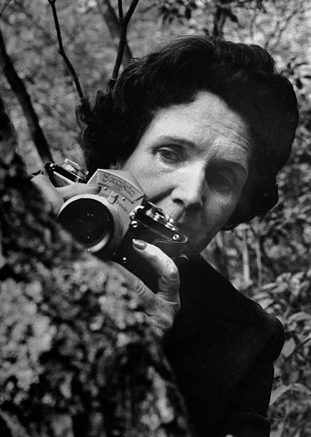 Gallery of Rachel Carson