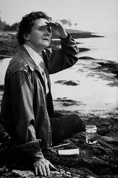 Gallery of Rachel Carson