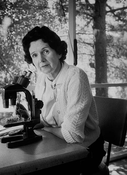 Gallery of Rachel Carson