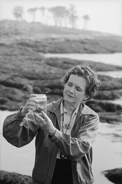 Gallery of Rachel Carson