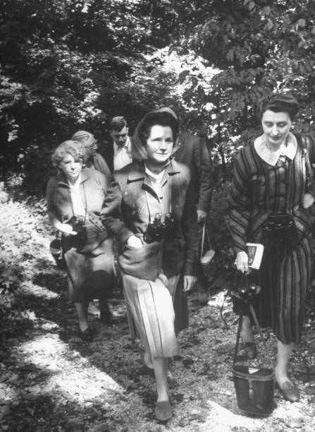 Gallery of Rachel Carson