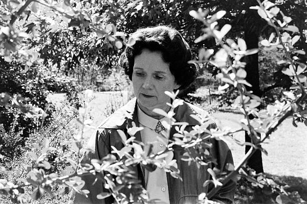 Gallery of Rachel Carson