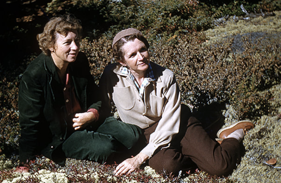 Gallery of Rachel Carson