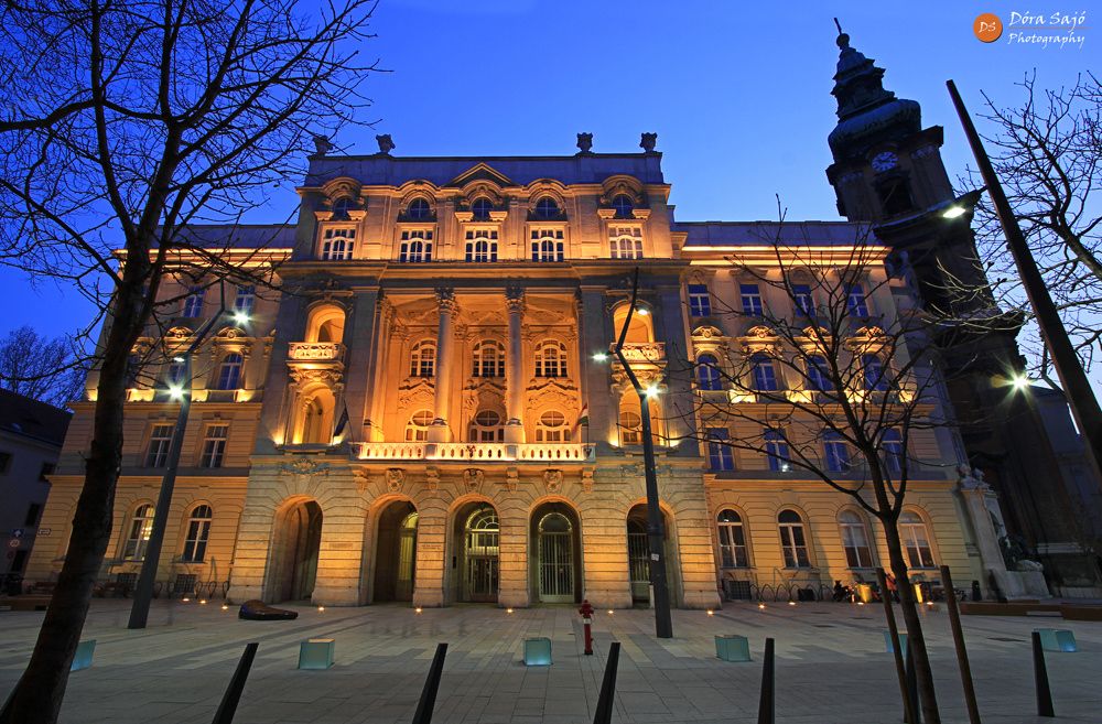 Gallery of André de Toth