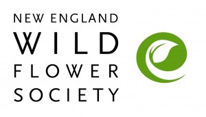 New England Wild Flower Society 