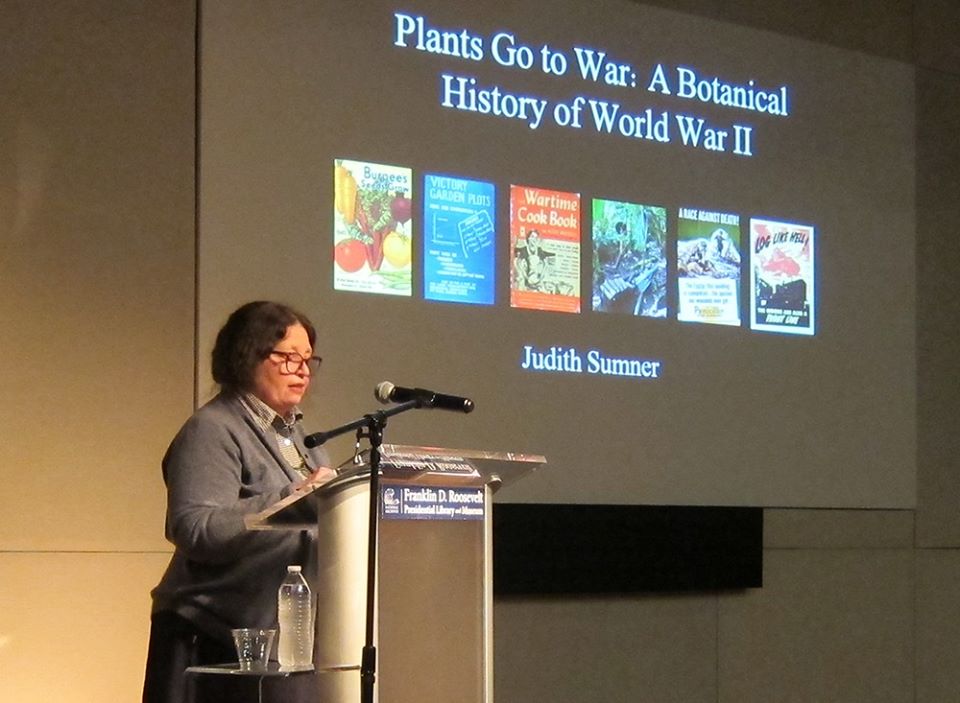 Gallery of Judith H. Sumner