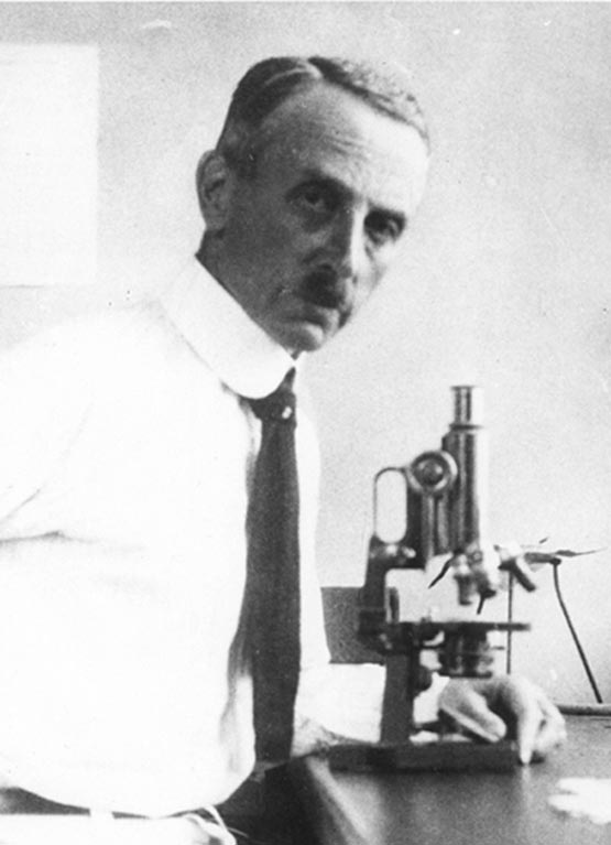 Leo Loeb