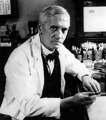 Gallery of Alexander Fleming