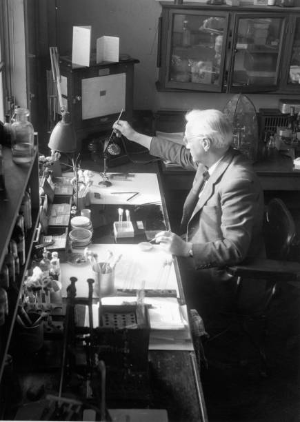 Gallery of Alexander Fleming