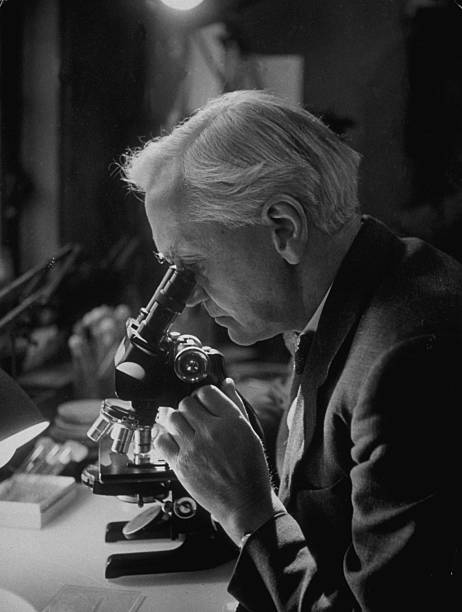 Gallery of Alexander Fleming