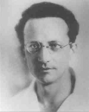 Gallery of Erwin Schrodinger