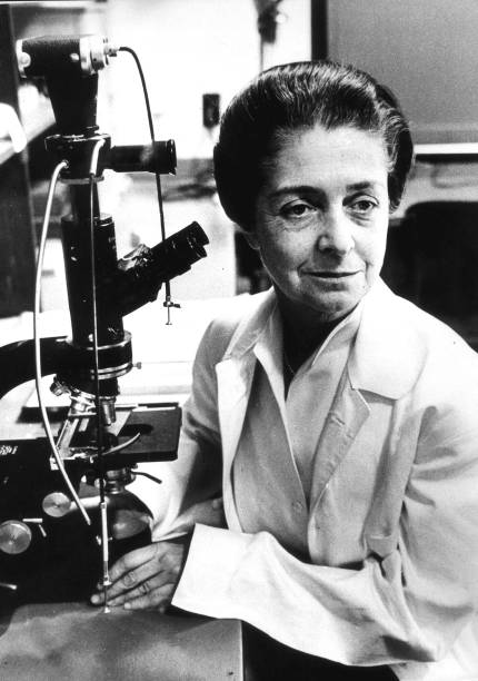 Gallery of Rita Levi-Montalcini