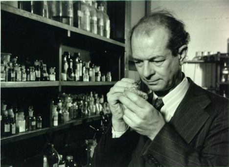 Gallery of Linus Pauling
