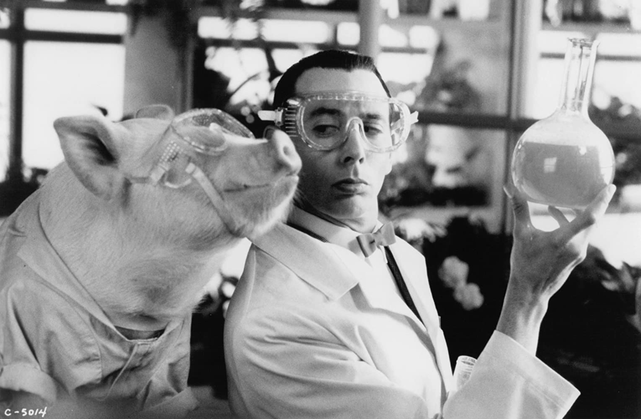 Gallery of Paul Reubens