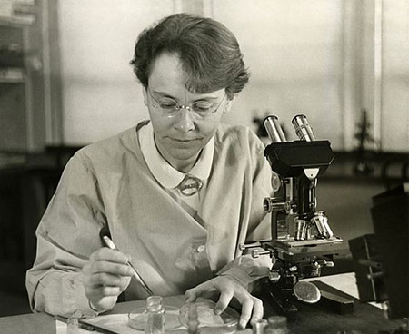 Gallery of Barbara McClintock