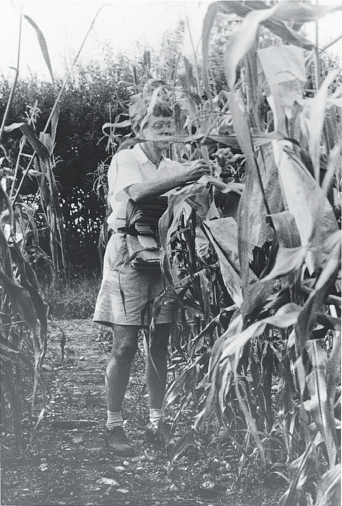 Gallery of Barbara McClintock