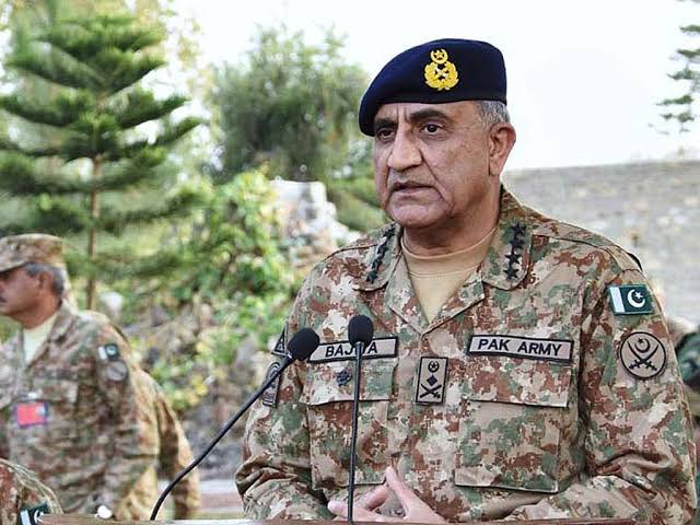 Gallery of Qamar Bajwa