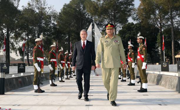 Gallery of Qamar Bajwa
