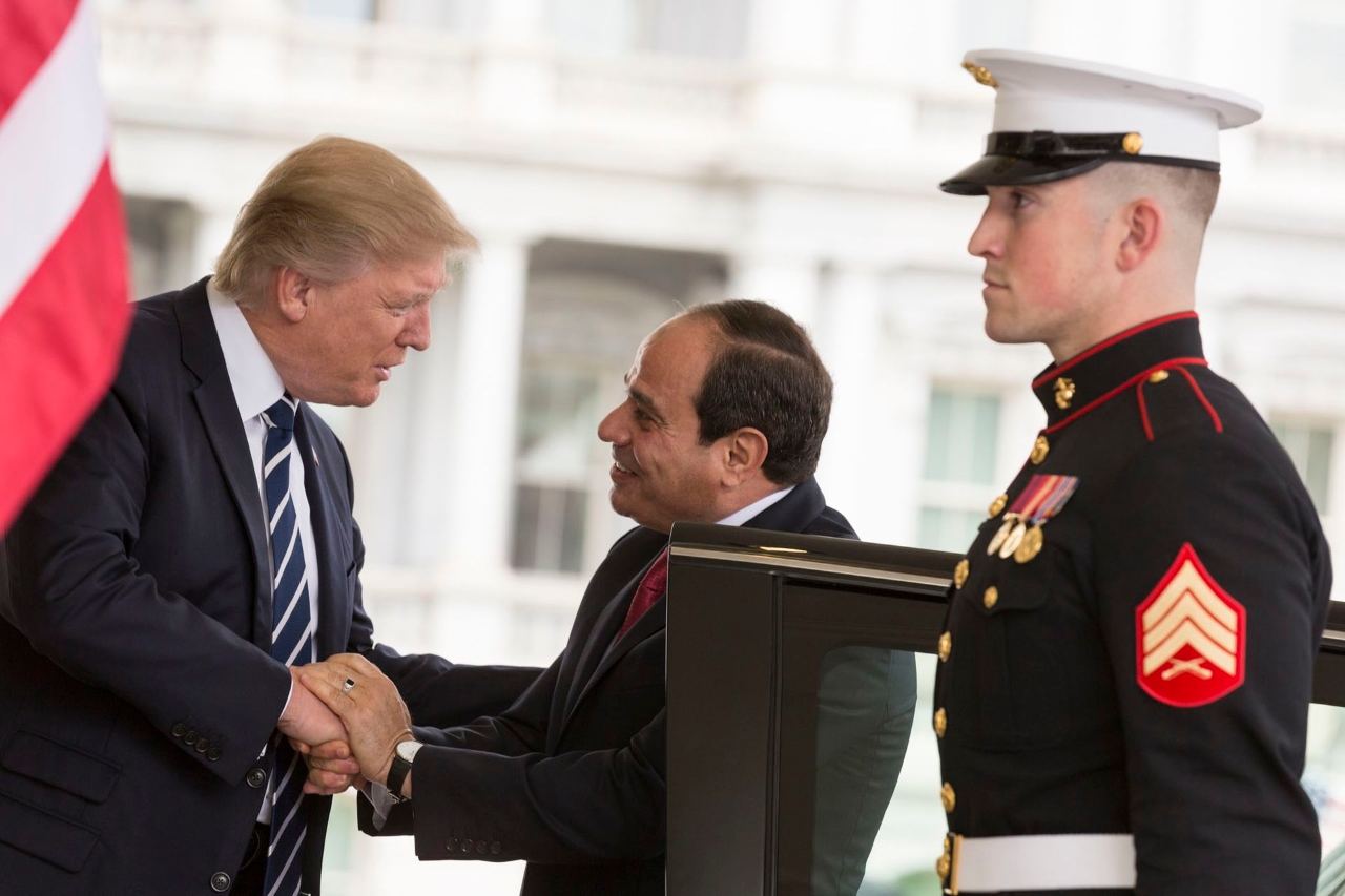 Gallery of Abdel el-Sisi