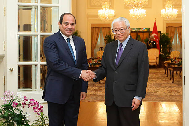 Gallery of Abdel el-Sisi