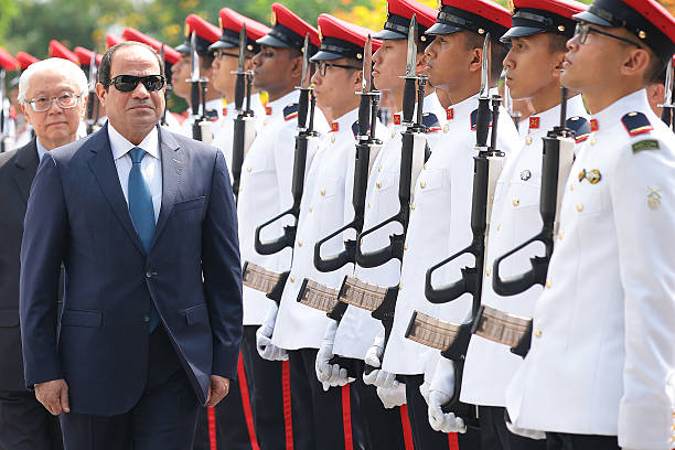 Gallery of Abdel el-Sisi