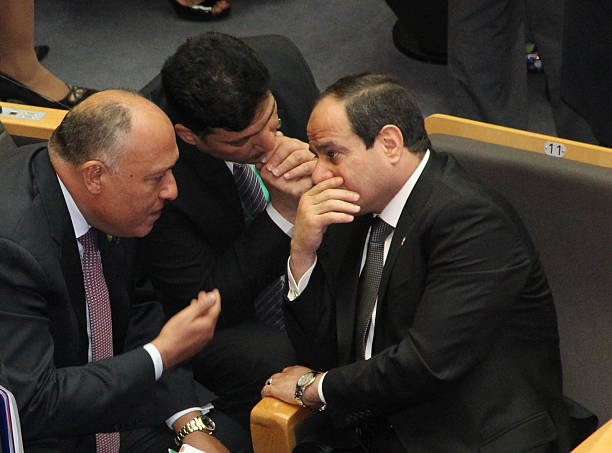 Gallery of Abdel el-Sisi