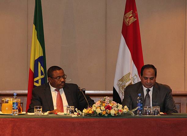 Gallery of Abdel el-Sisi