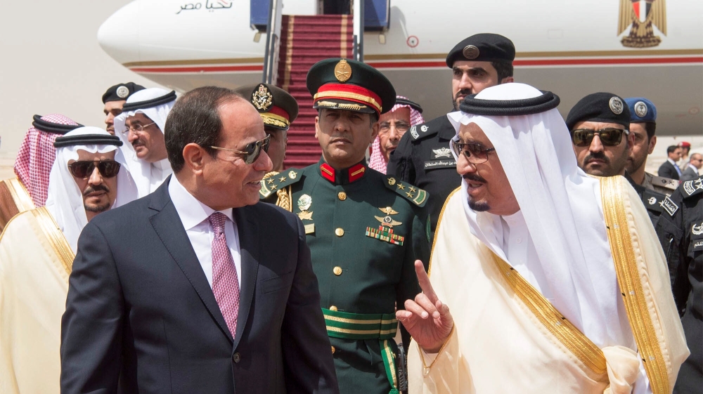 Gallery of Abdel el-Sisi